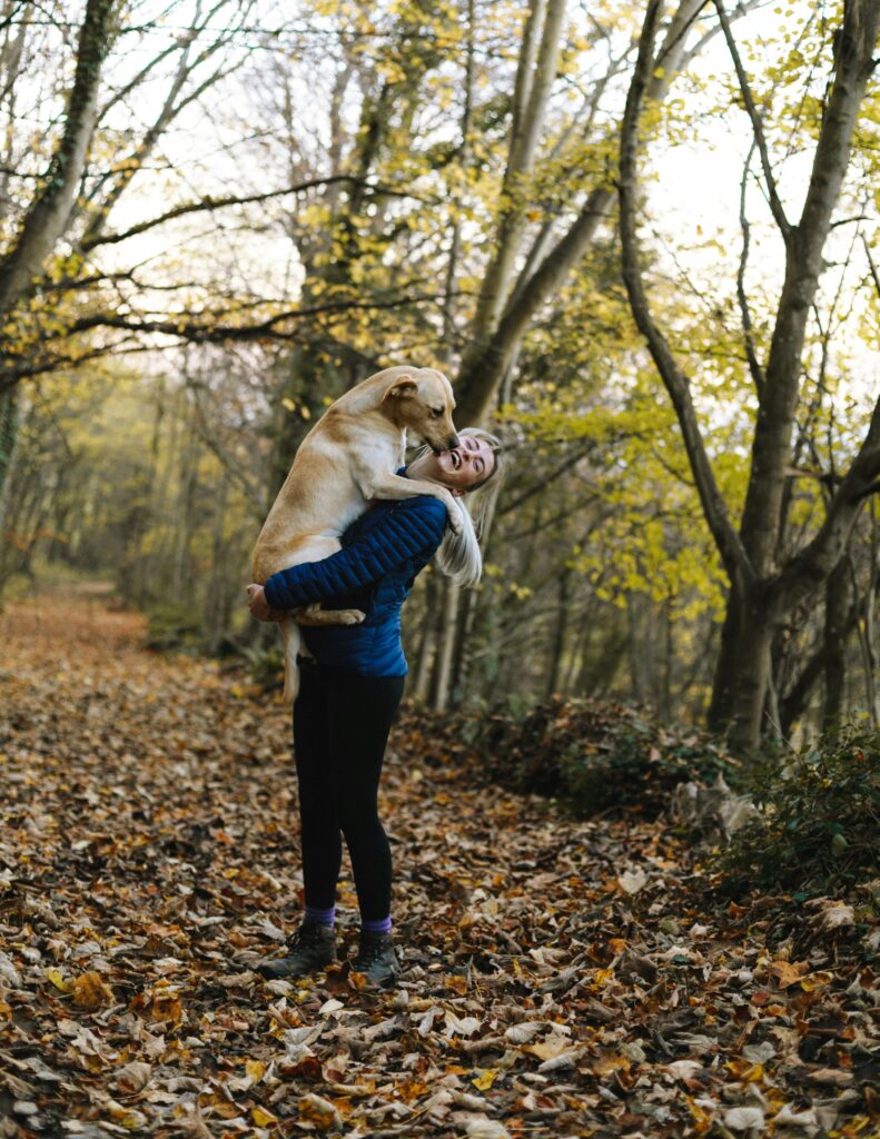 pet insurance guide