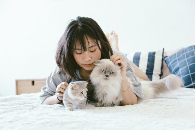 pet insurance guide